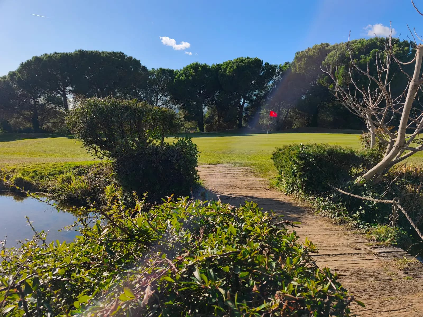 Una calle de golf enmarcada por pinos piñoneros en un campo catalán