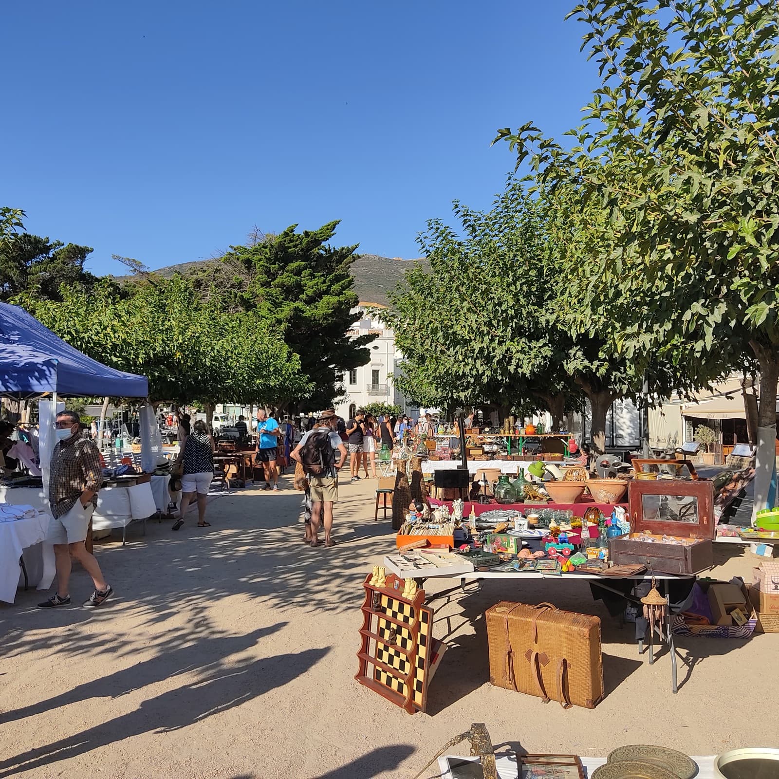 An open-air street market under leafy trees in a Costa Brava town