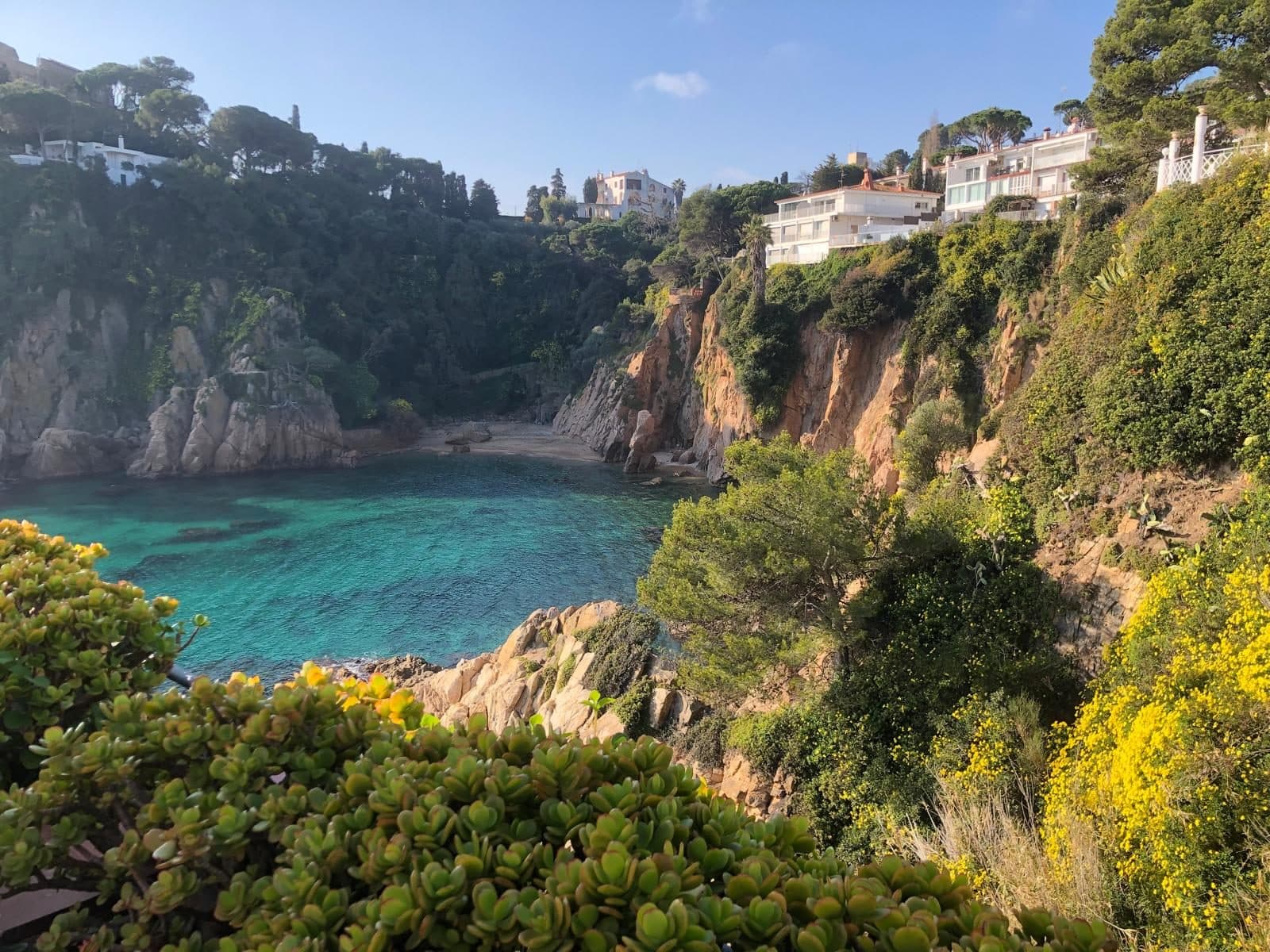 A turquoise Costa Brava cove ringed by pine-clad cliffs and villas