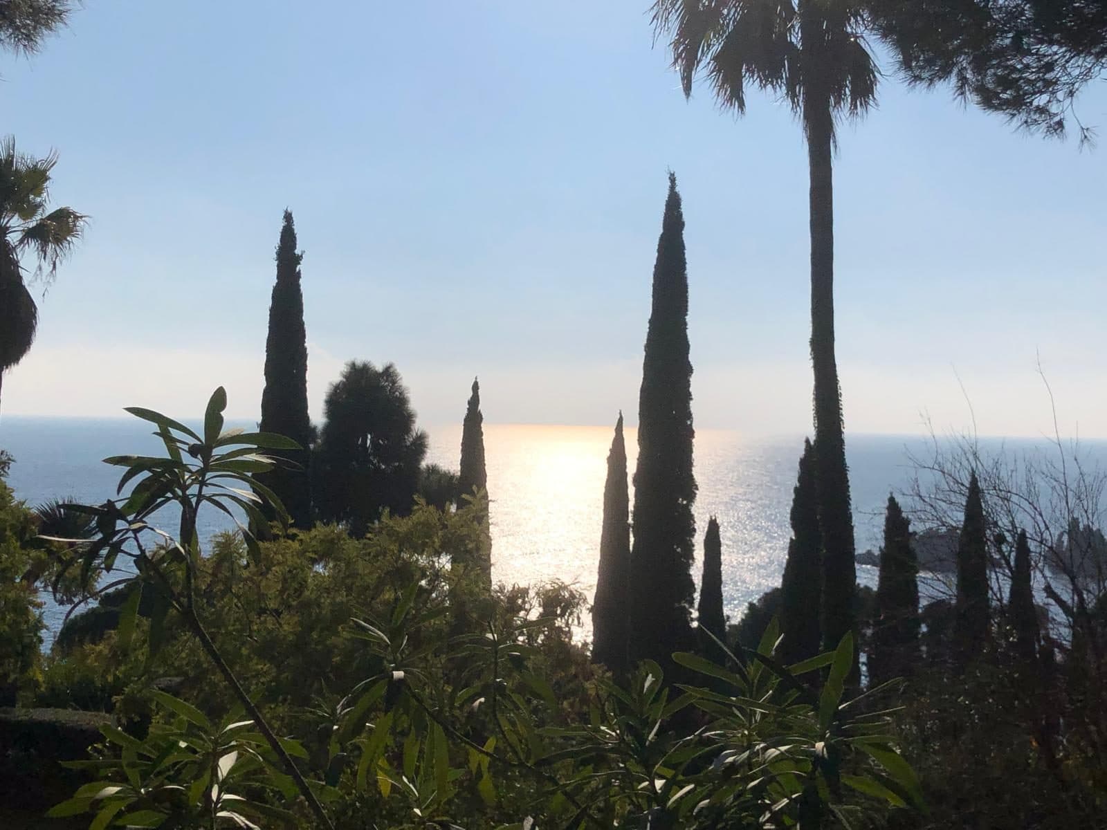 The Mediterranean seen through tall cypresses in the garden