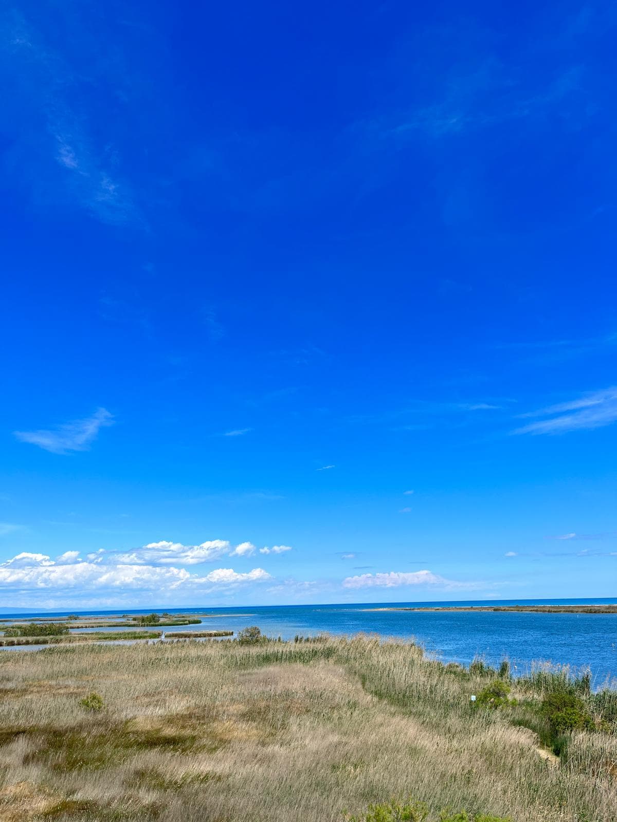 The lagoons and low coastline of the Delta de l’Ebre under a wide blue sky