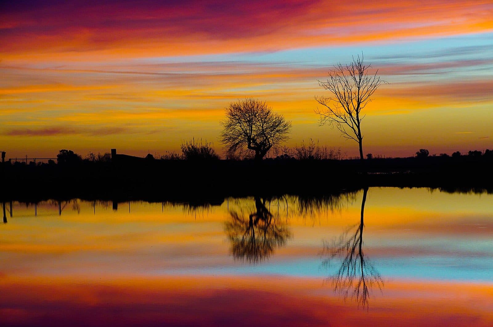A fiery sunrise reflected in the flooded rice paddies of the Delta de l’Ebre