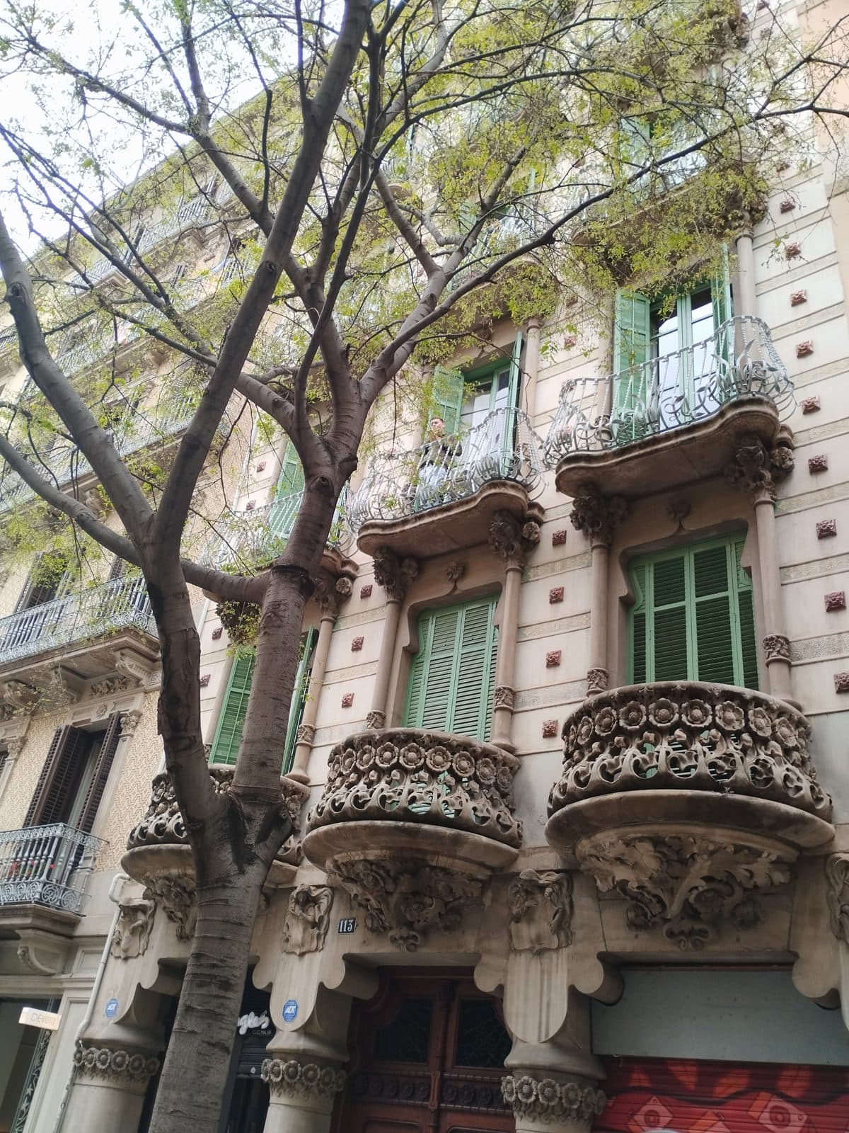 A Modernist residential façade with projecting galleries and a plane tree in front
