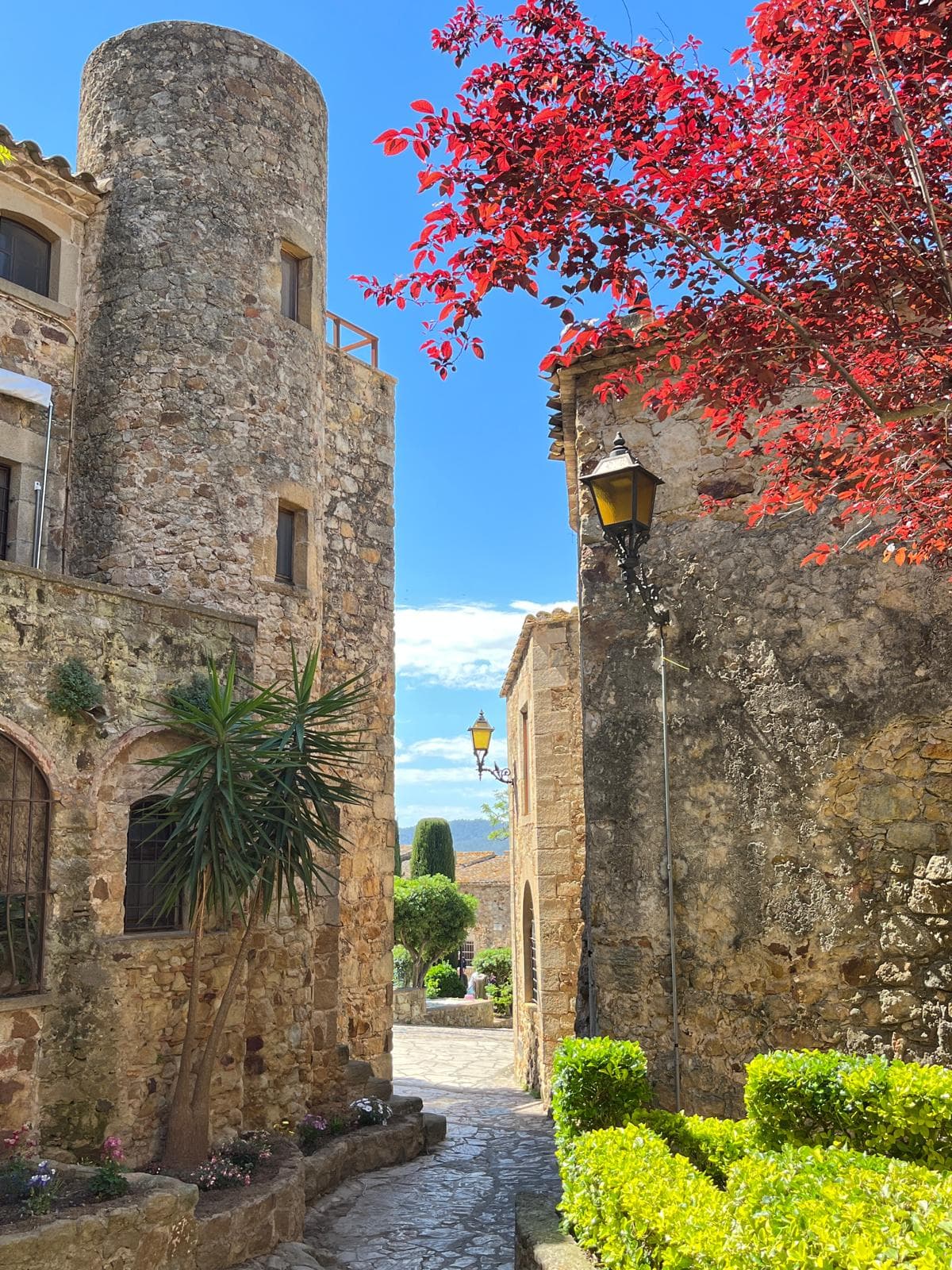 A medieval stone tower and lane framed by a red-leaved tree in an Empordà village
