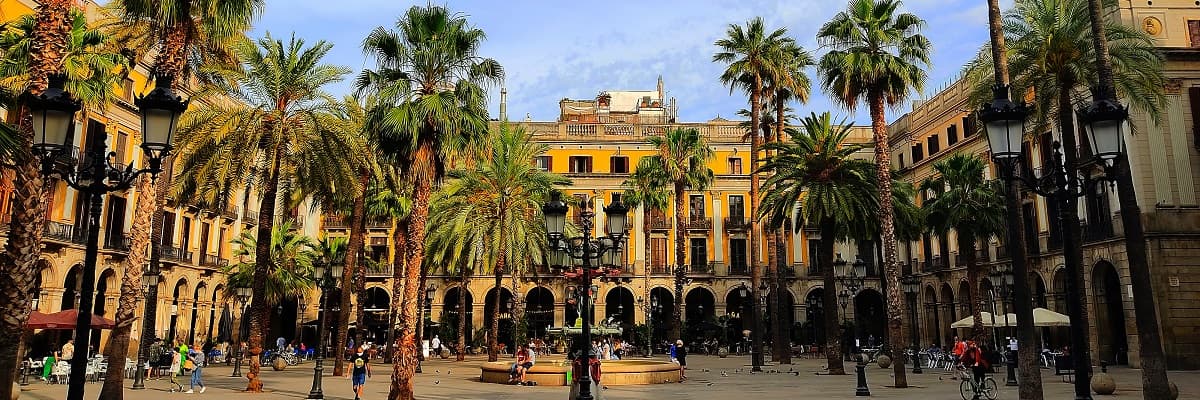 A guided moment in Plaça del Rei, Barcelona’s Gothic Quarter