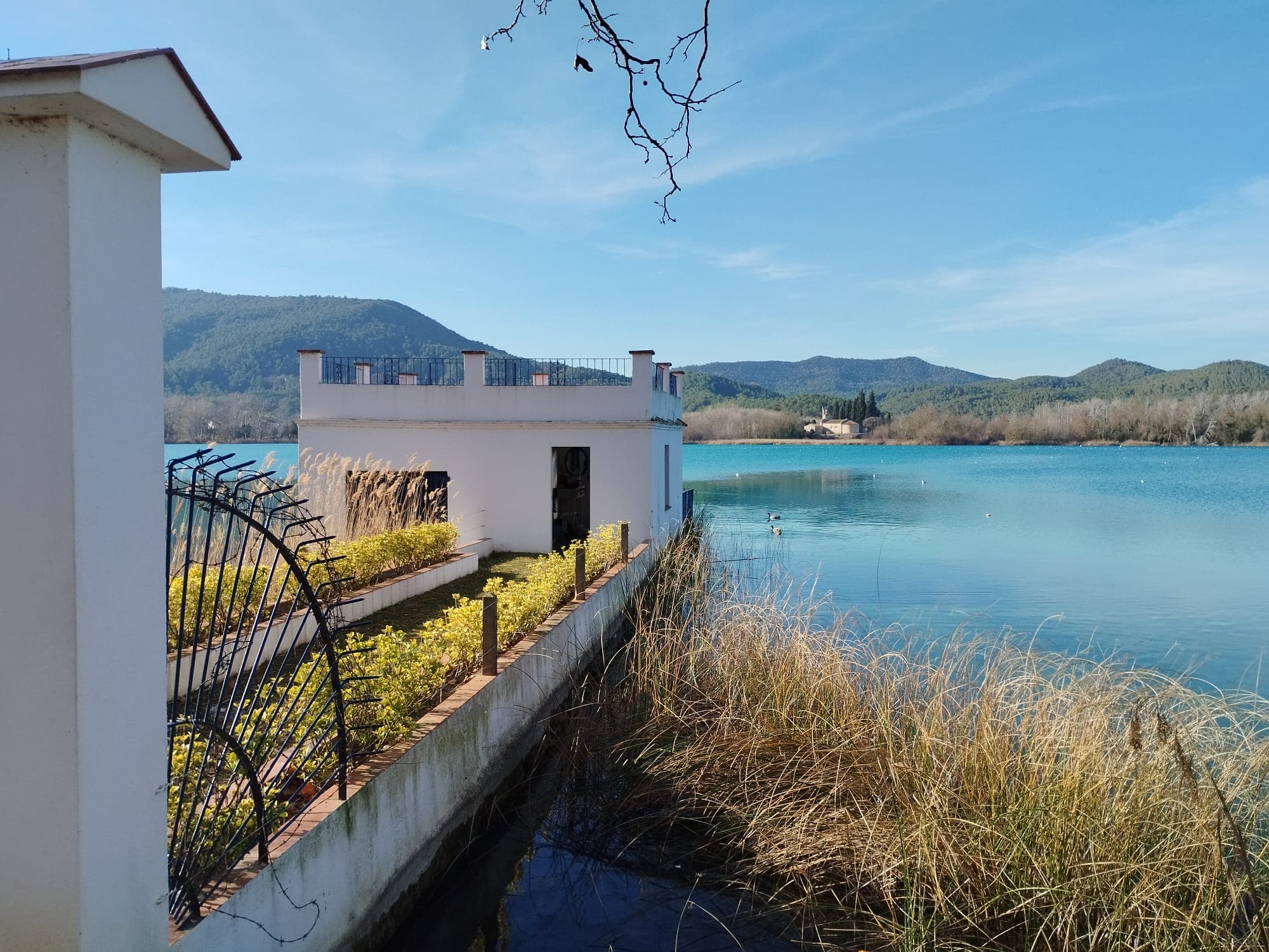 A reed-fringed lake below wooded mountains in inland Catalonia