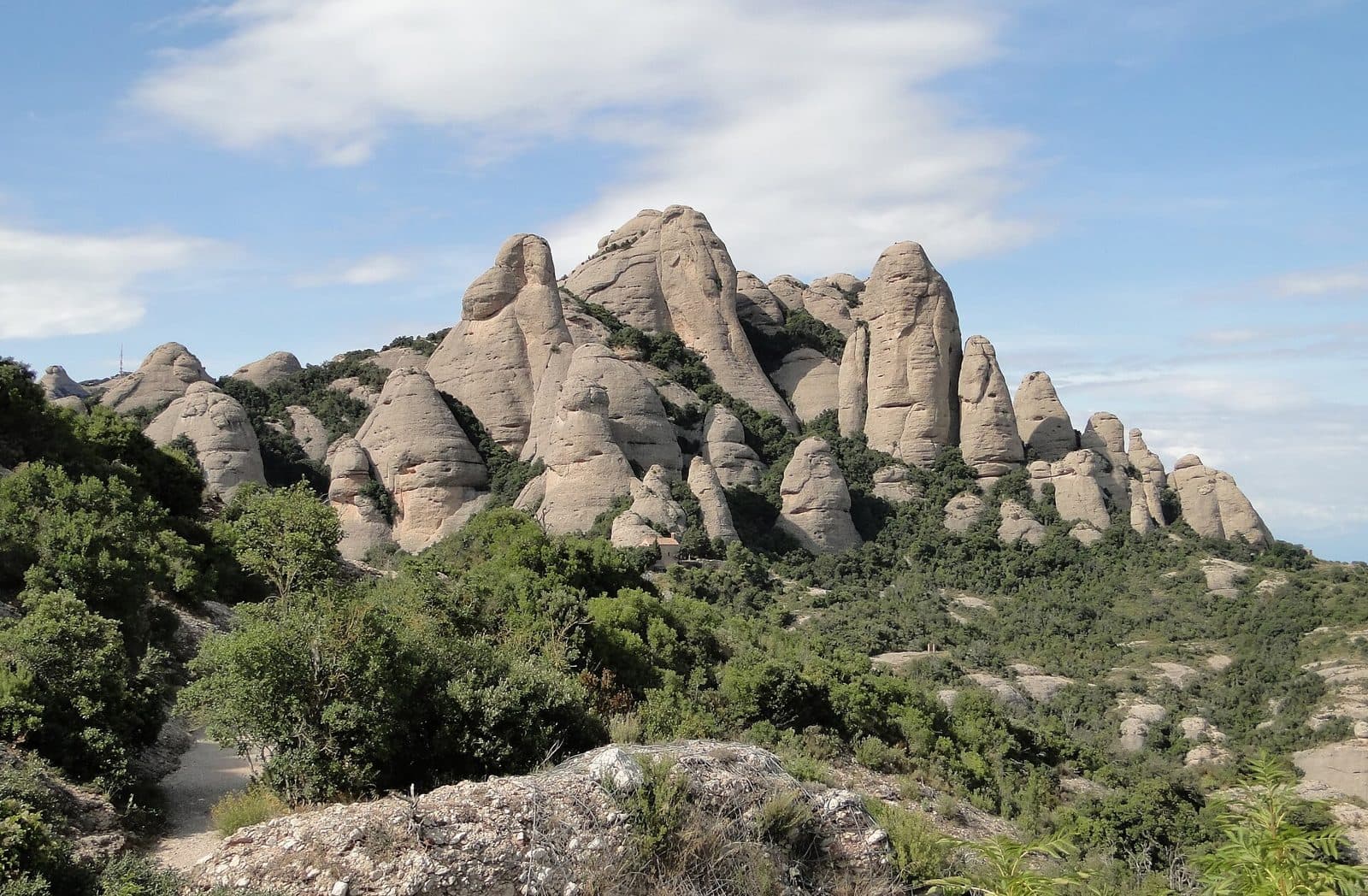The serrated rock pinnacles of the Montserrat massif rising above the wooded slopes