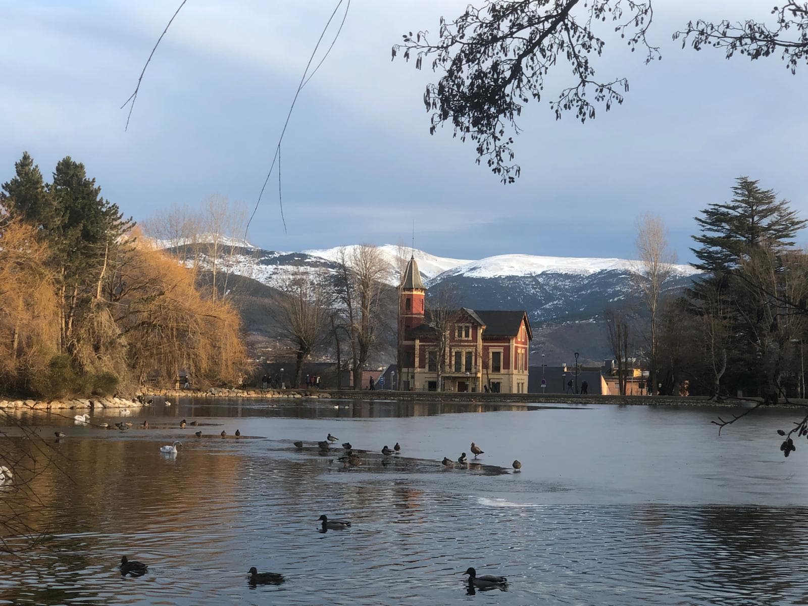 A tranquil pond with ducks below snow-capped Pyrenean peaks in northern Catalonia