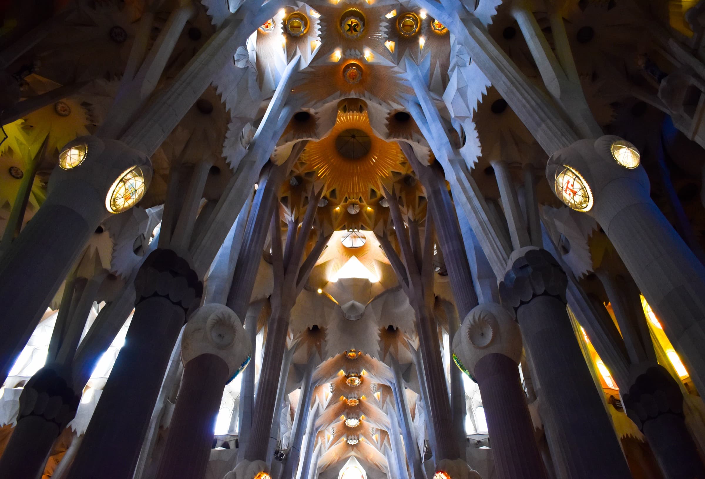 The tree-like columns of the Sagrada Família nave rising into Gaudí’s stone canopy