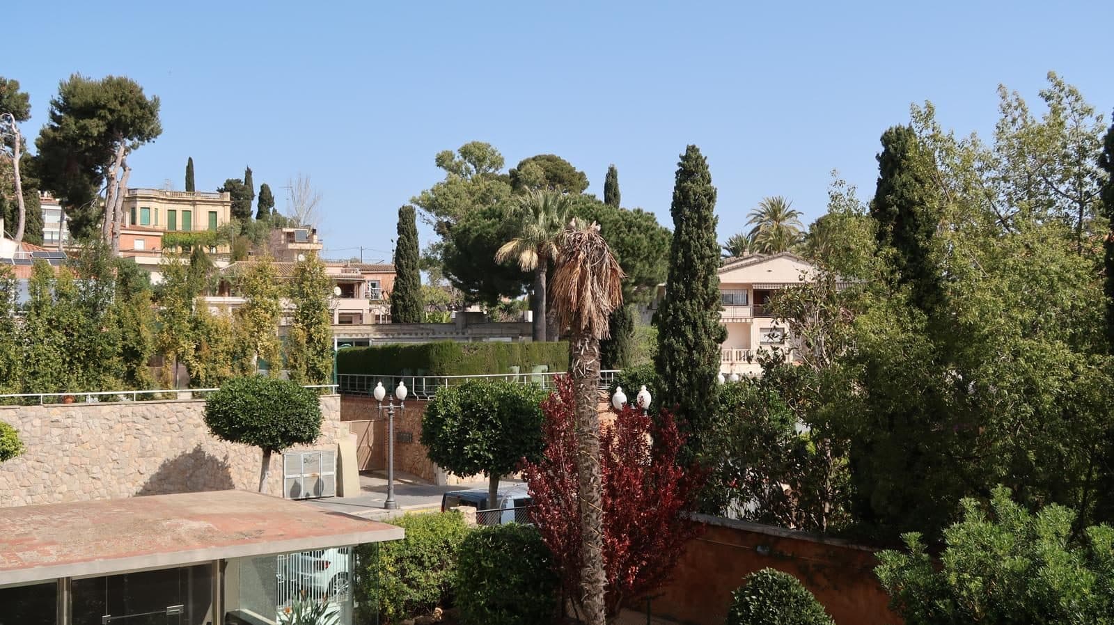 A view over Tarragona’s rooftops, palms and gardens