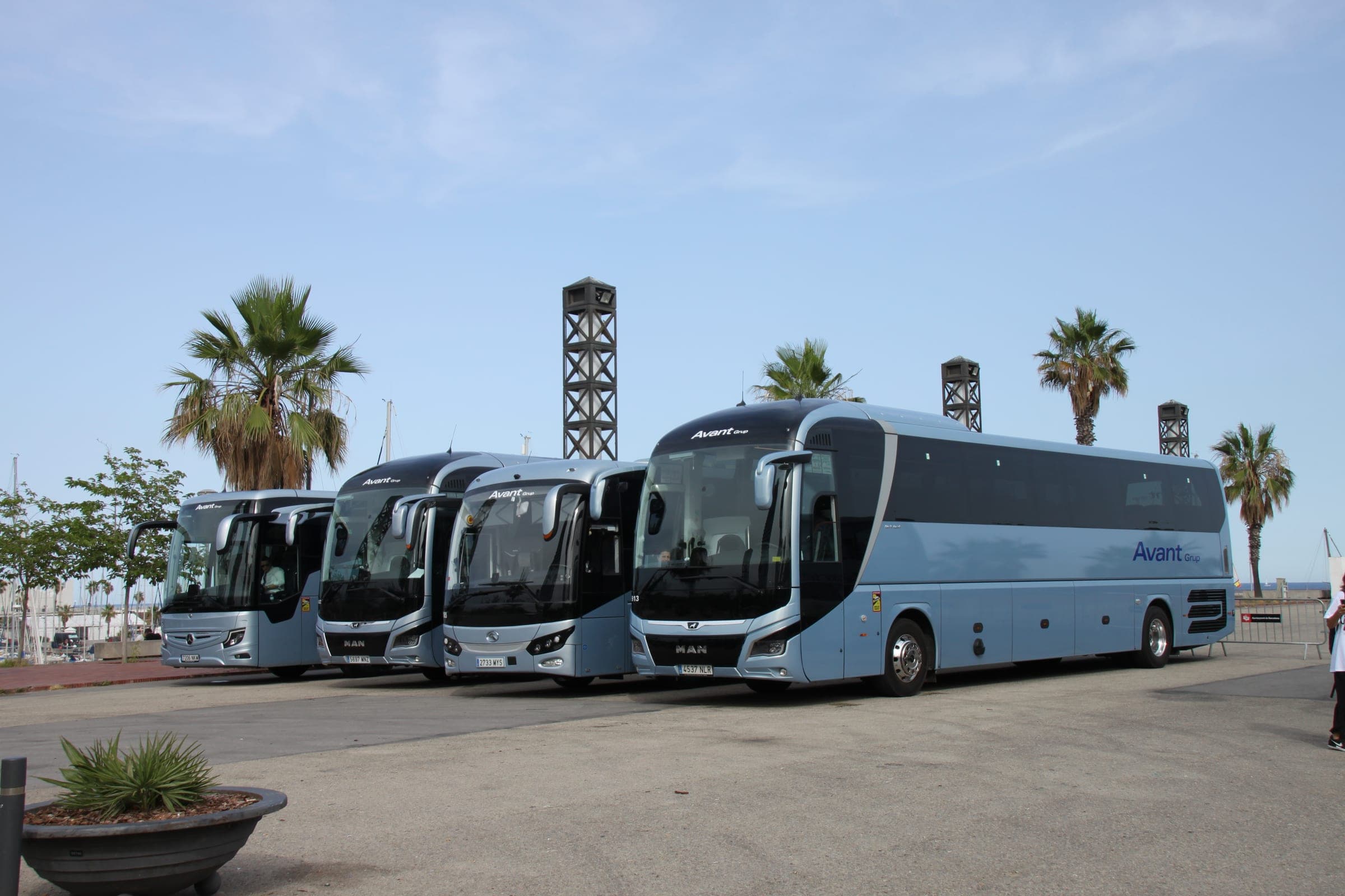 A fleet of private coaches ready for group transport