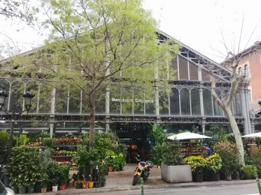 Flower stalls set out along the iron and glass front of a district market
