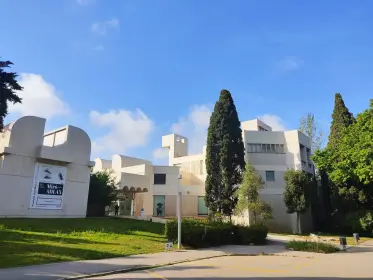 The white volumes of the Fundació Joan Miró among the pines