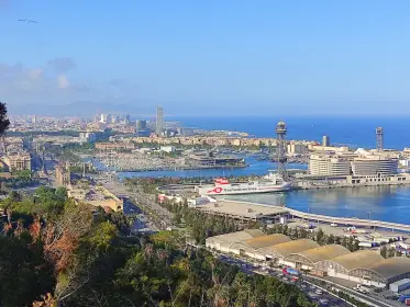 The cruise port and the old city seen from the Montjuïc terrace
