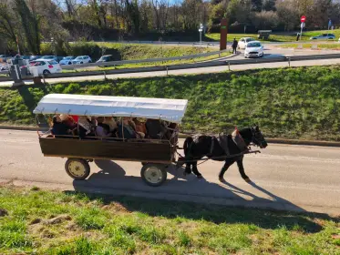 A horse-drawn carriage carrying visitors along the road through the Fageda