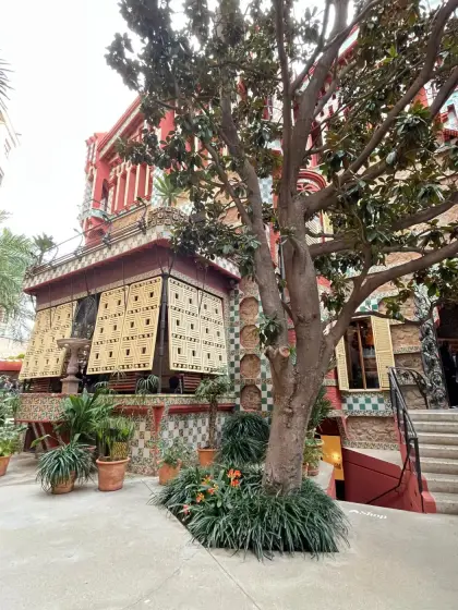 La casa tras el gran árbol que da sombra al jardín