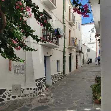 Bougainvillea spilling over a whitewashed lane in the village