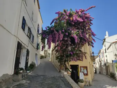 A stepped alley climbing between white walls under flowering vines
