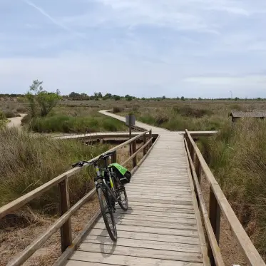 Una bicicleta a la passarel·la de fusta que travessa la maresma