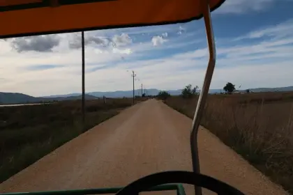 Un camí recte travessant la plana del delta