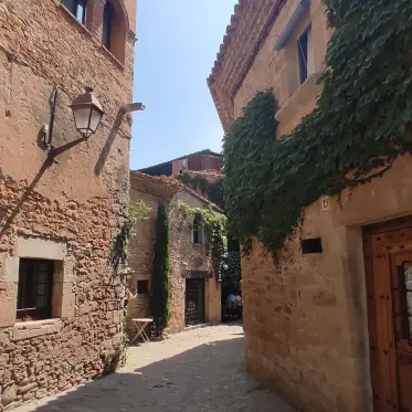 Ivy climbing the corner of a lane of medieval stonework