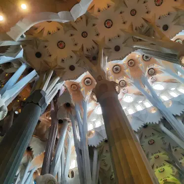 The vault seen straight up, where the columns branch like trees