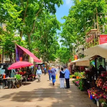 The plane-tree promenade of La Rambla, lined with flower stalls and kiosks