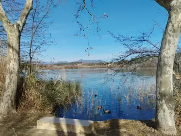 The lake seen through bare branches, waterbirds on the surface
