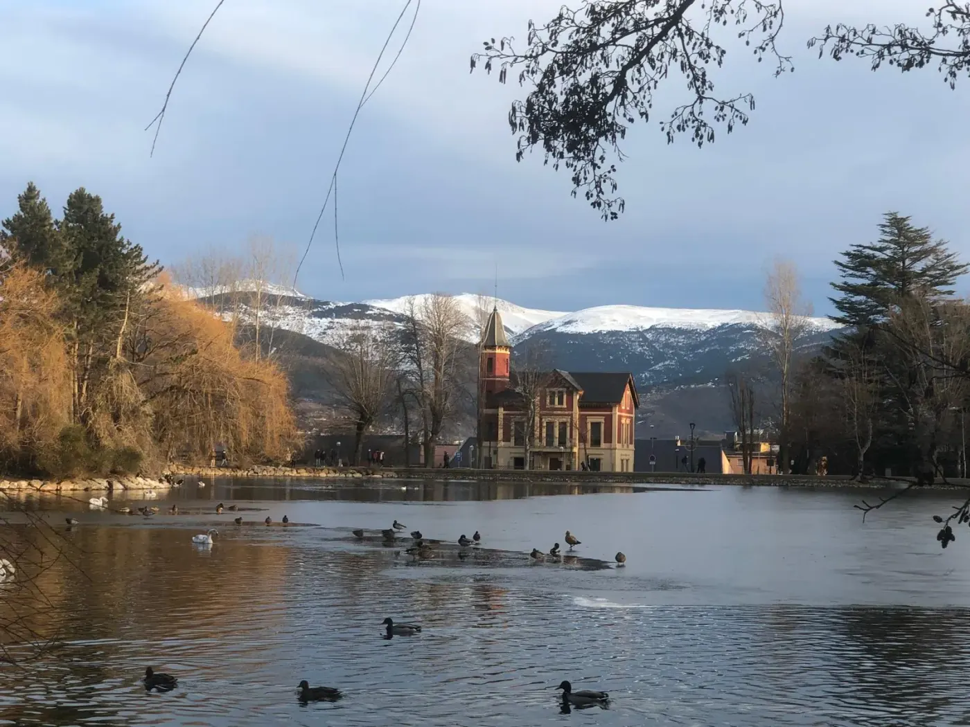 Patos en un lago bajo una villa con torreón y nieve en las montañas