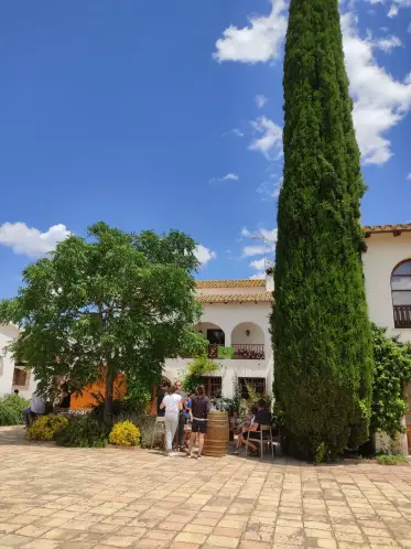 Un ciprés junto a la masía blanca donde se reúnen los visitantes