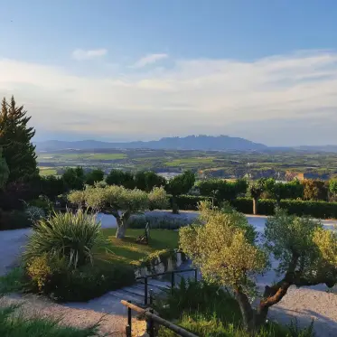 Olivos en un jardín con el macizo de Montserrat en el horizonte