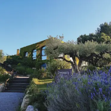 Arcos de piedra sobre macizos de lavanda y un olivo viejo