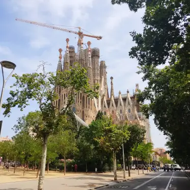 Les torres de la basílica sobre els arbres, amb una grua encara en obra